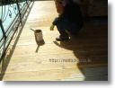 madu cedar deck 07.jpg